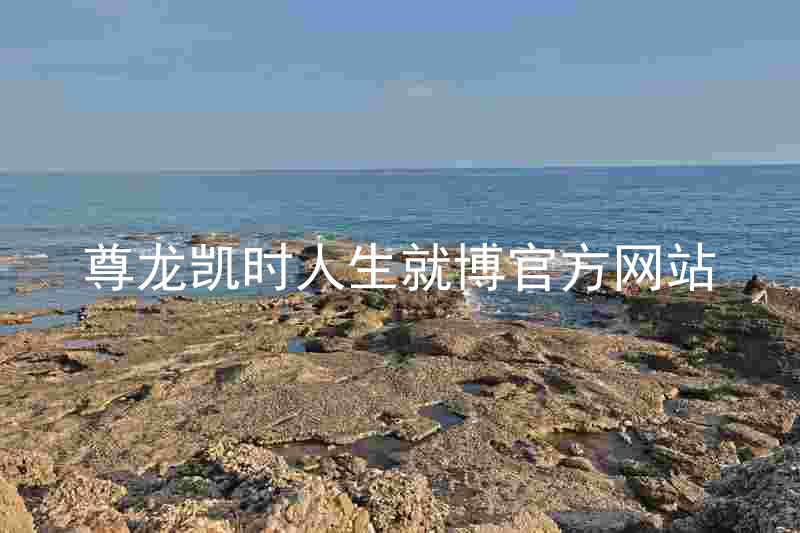 尊龙凯时人生就博官方网站