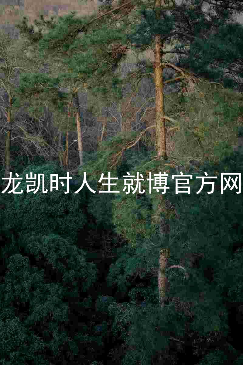 尊龙凯时人生就博官方网站