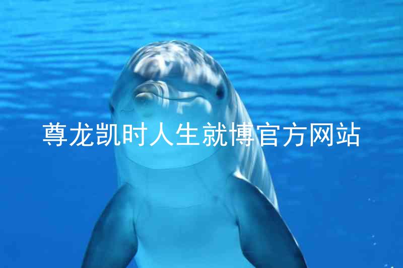 尊龙凯时人生就博官方网站