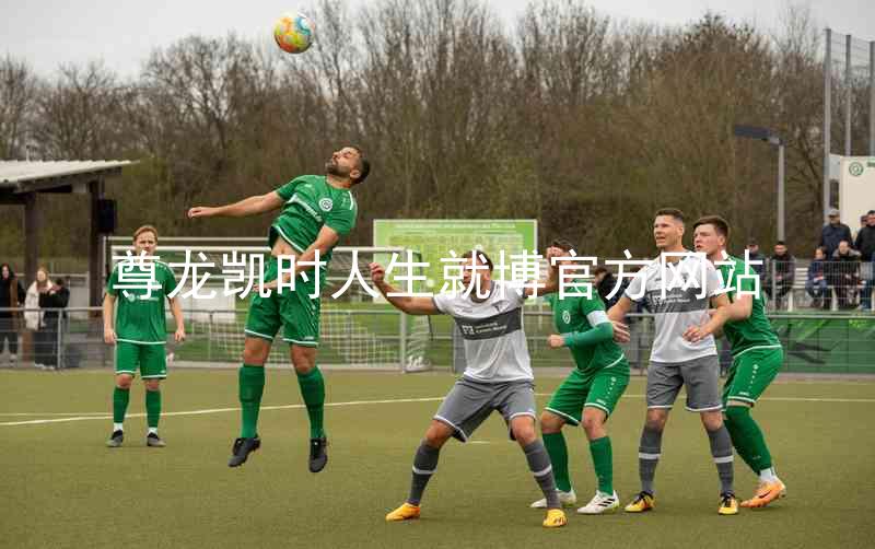 尊龙凯时人生就博官方网站