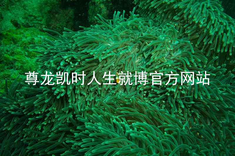 尊龙凯时人生就博官方网站